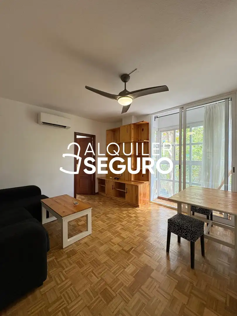 Sala d'estar de Pis de lloguer en Madrid amb Aire condicionat, Calefacció i Moblat