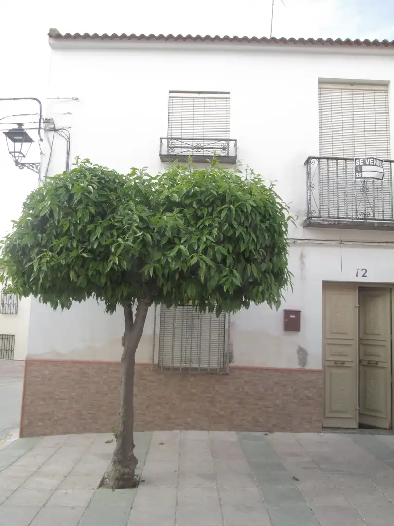 Casa rústica en venda a Santiago de Calatrava, imagen 2