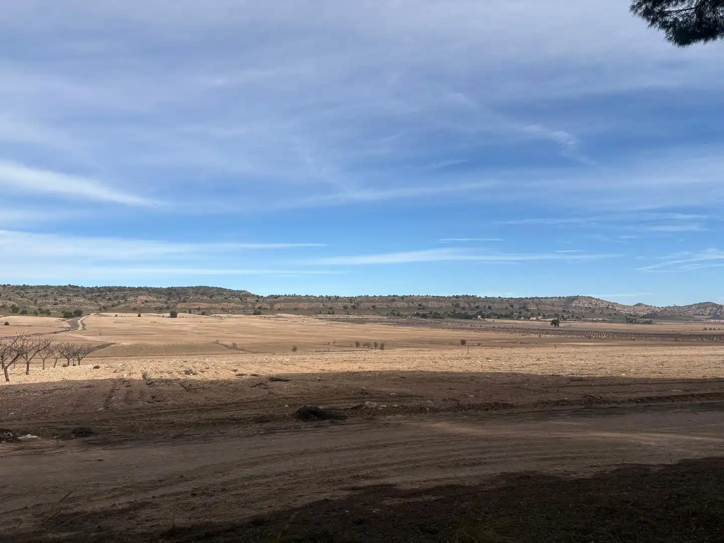 Finca rústica en venta en Ontur
