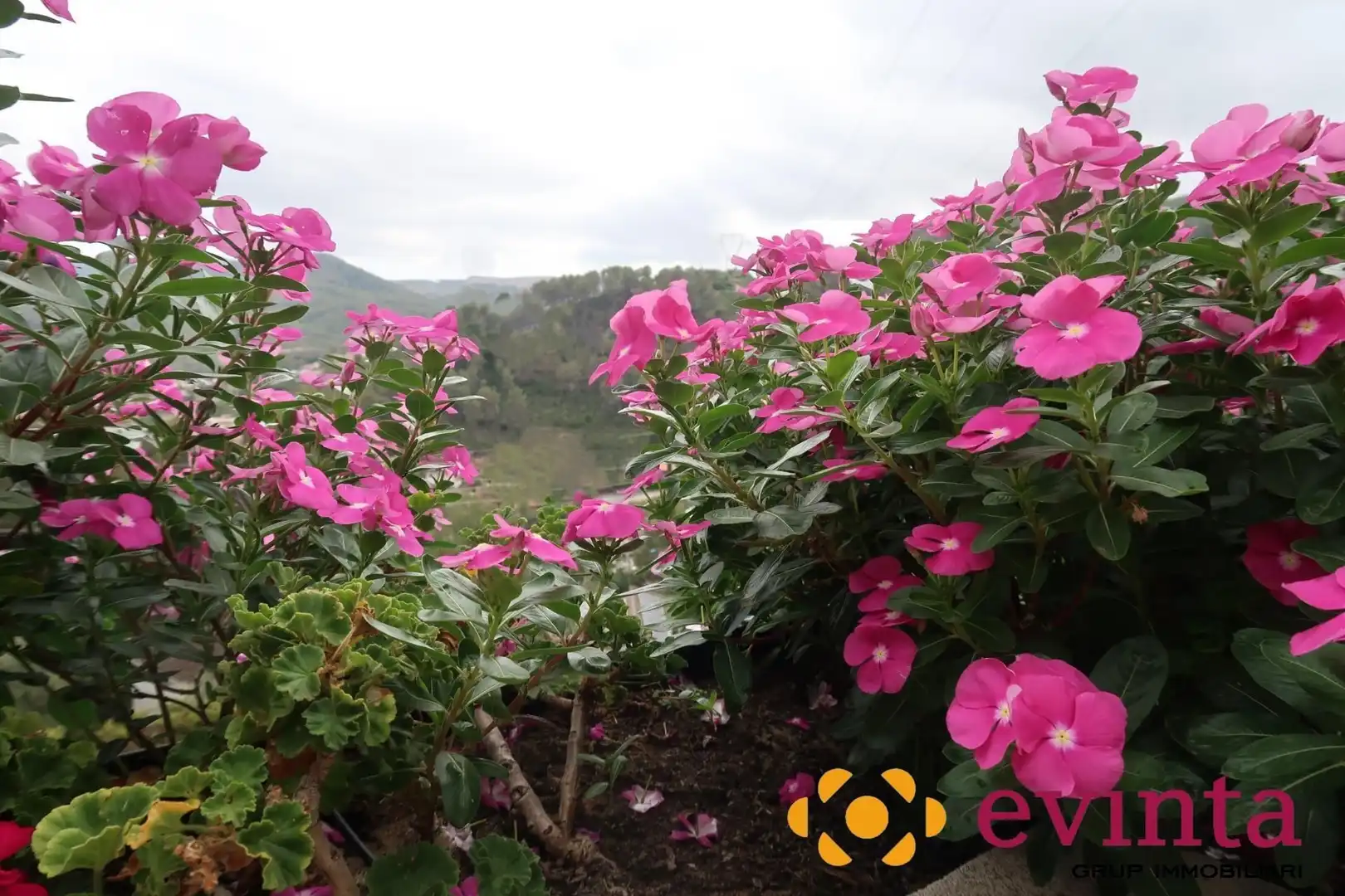 Jardín de Casa o chalet en venta en Vallirana con Calefacción, Jardín privado y Terraza