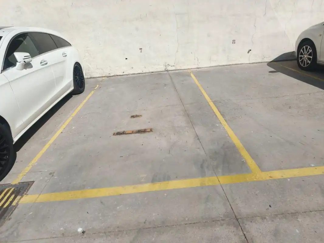 Pis amb piscina en venda a Avenida Carlota Alessandri, imagen 10