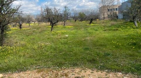 Photo 3 of Industrial land for sale in N/a, 1, Establiments, Illes Balears