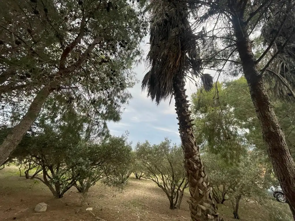 Terreno rustico in vendita a Dolores, imagen 22