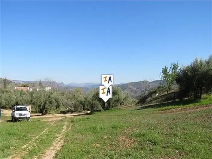 Terreni e lotti in vendita a Martos, imagen 2