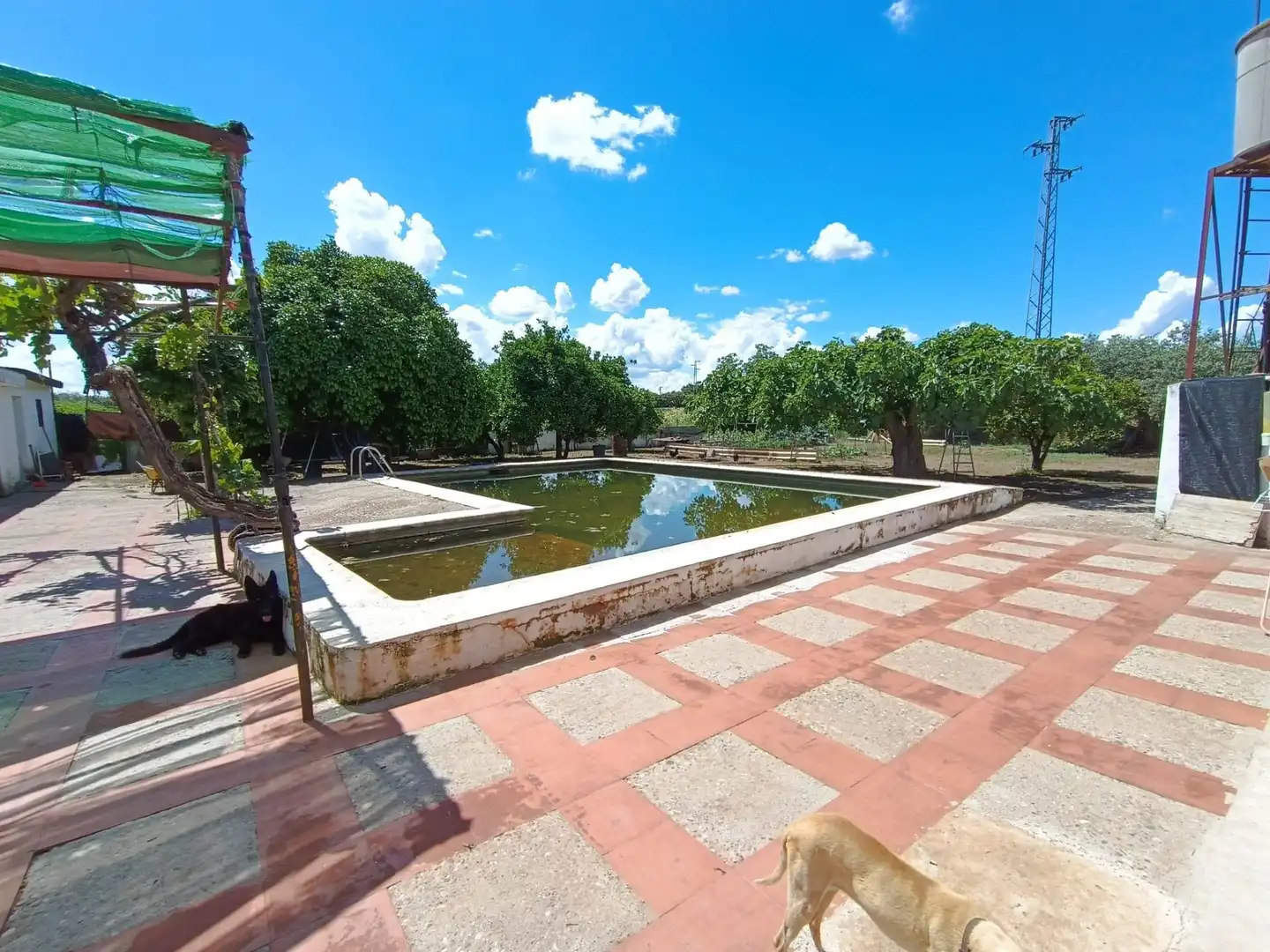 Maison rustique avec piscine à vendre à Periurbano Este - Campiña, imagen 4