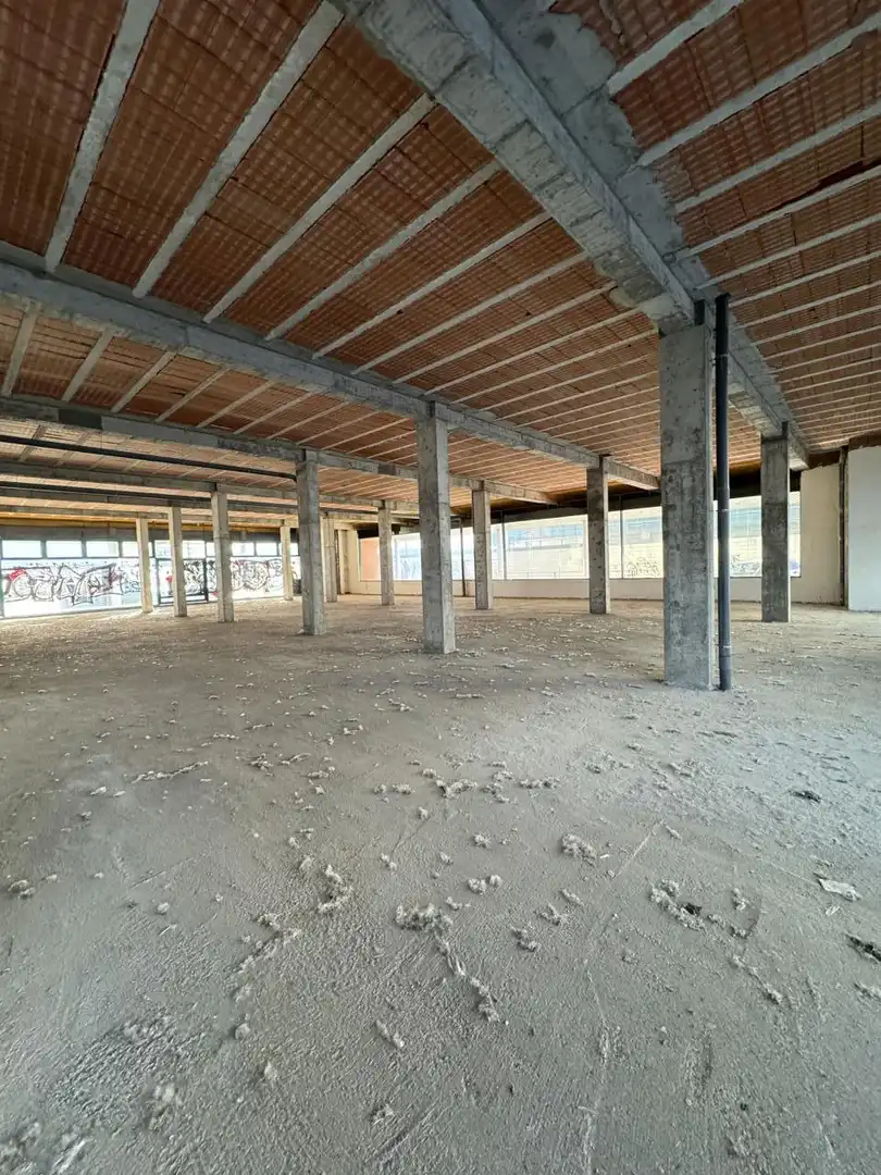 Altres en venda a Francisco De Medina Y Mendoza, imagen 15