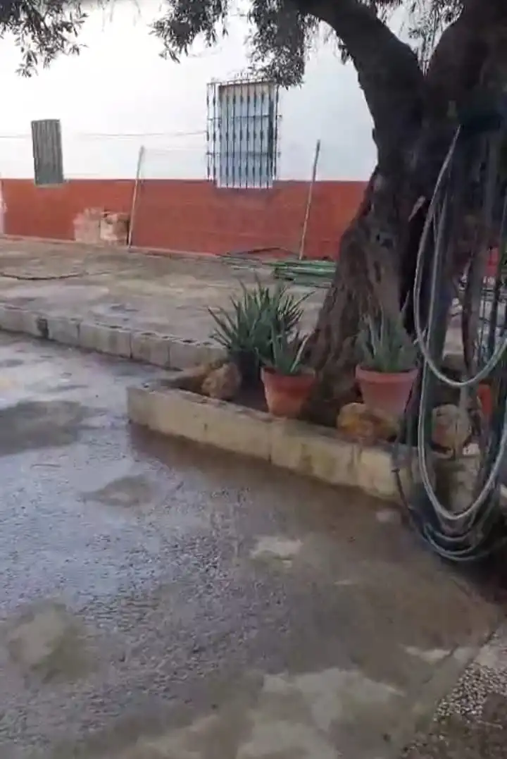 Xalet amb jardí en venda a Urbanización la Hermandad, imagen 39