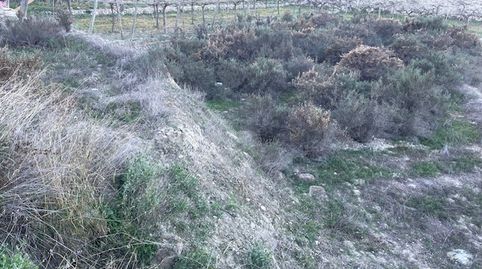 Huecija . Parcela en venta Rustica, imatge 4