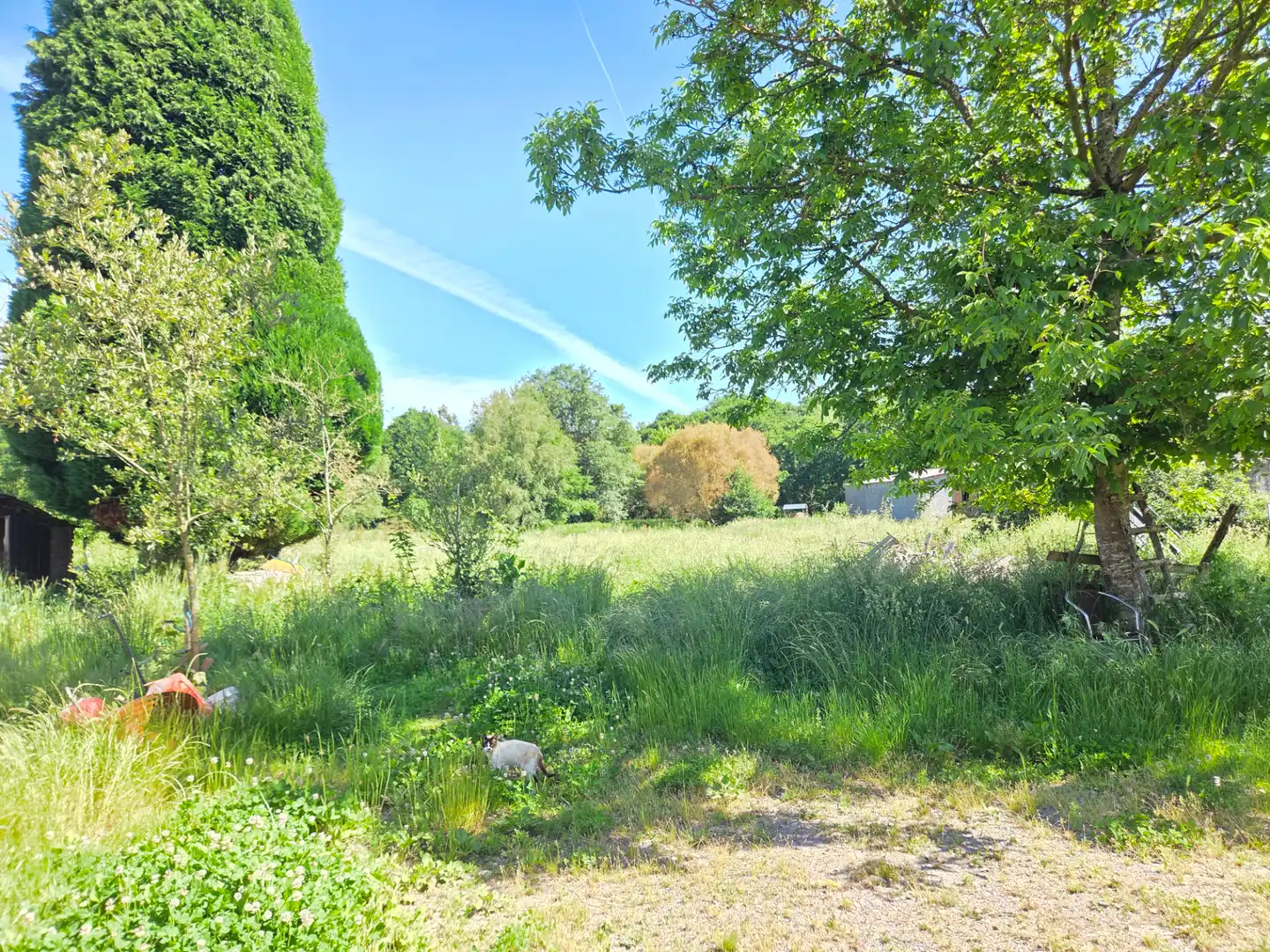 Casa o xalet en venda en Vilalba amb Jardí privat i Traster