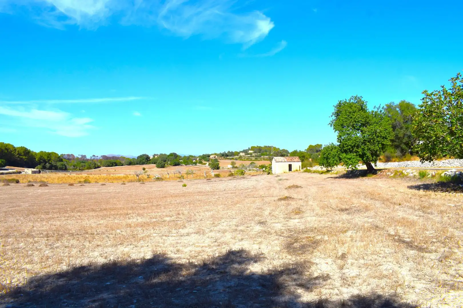 Terreny residencial en venda a Llubí, imagen 4