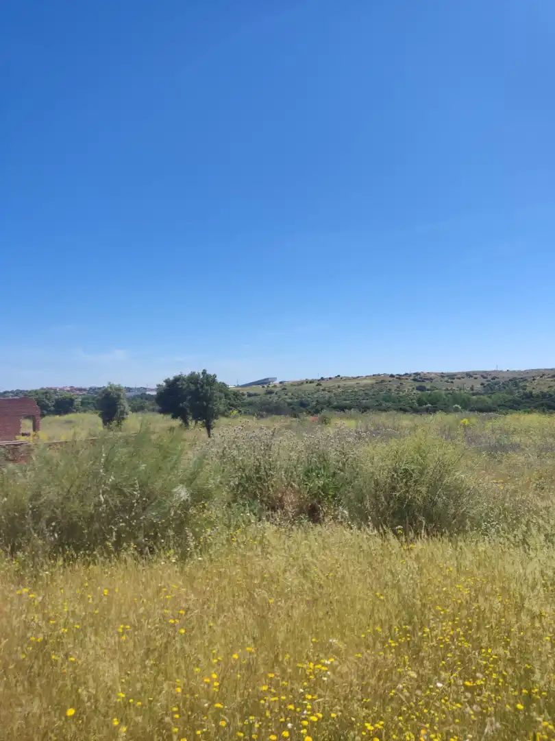 Land for sale in Navalcarnero