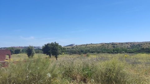 Foto 5 de Terreny en venda a Carril Toledano, 19, La Dehesa - El Pinar, Navalcarnero
