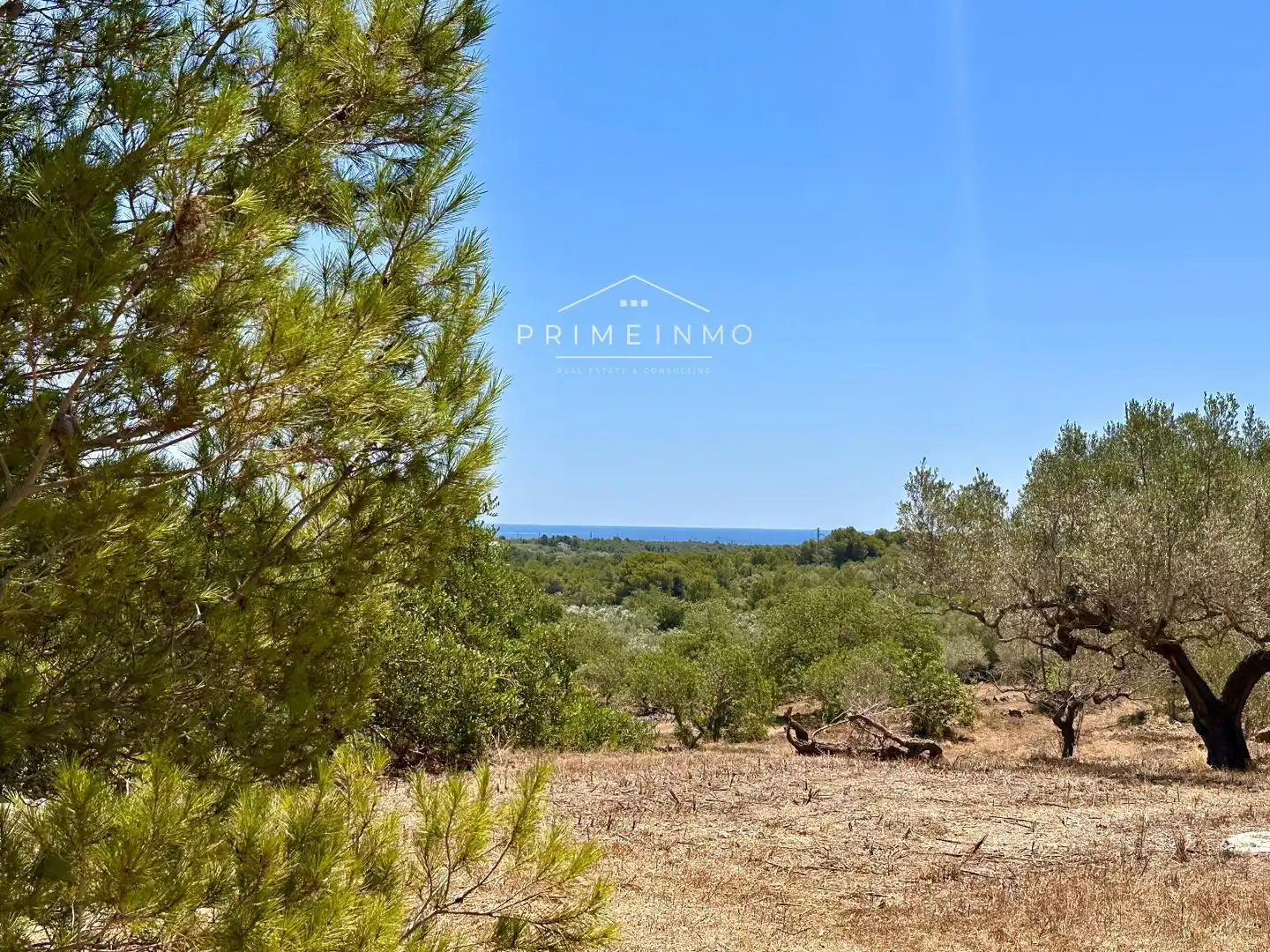 Finca rústica en venta en L'Ametlla de Mar 