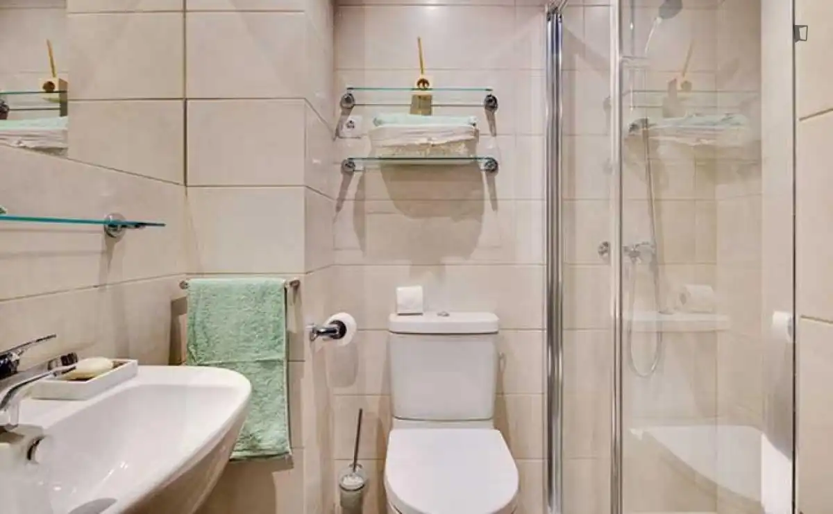 Bathroom of Flat for rent in Madrid  with Air Conditioner, Furnished and Internet