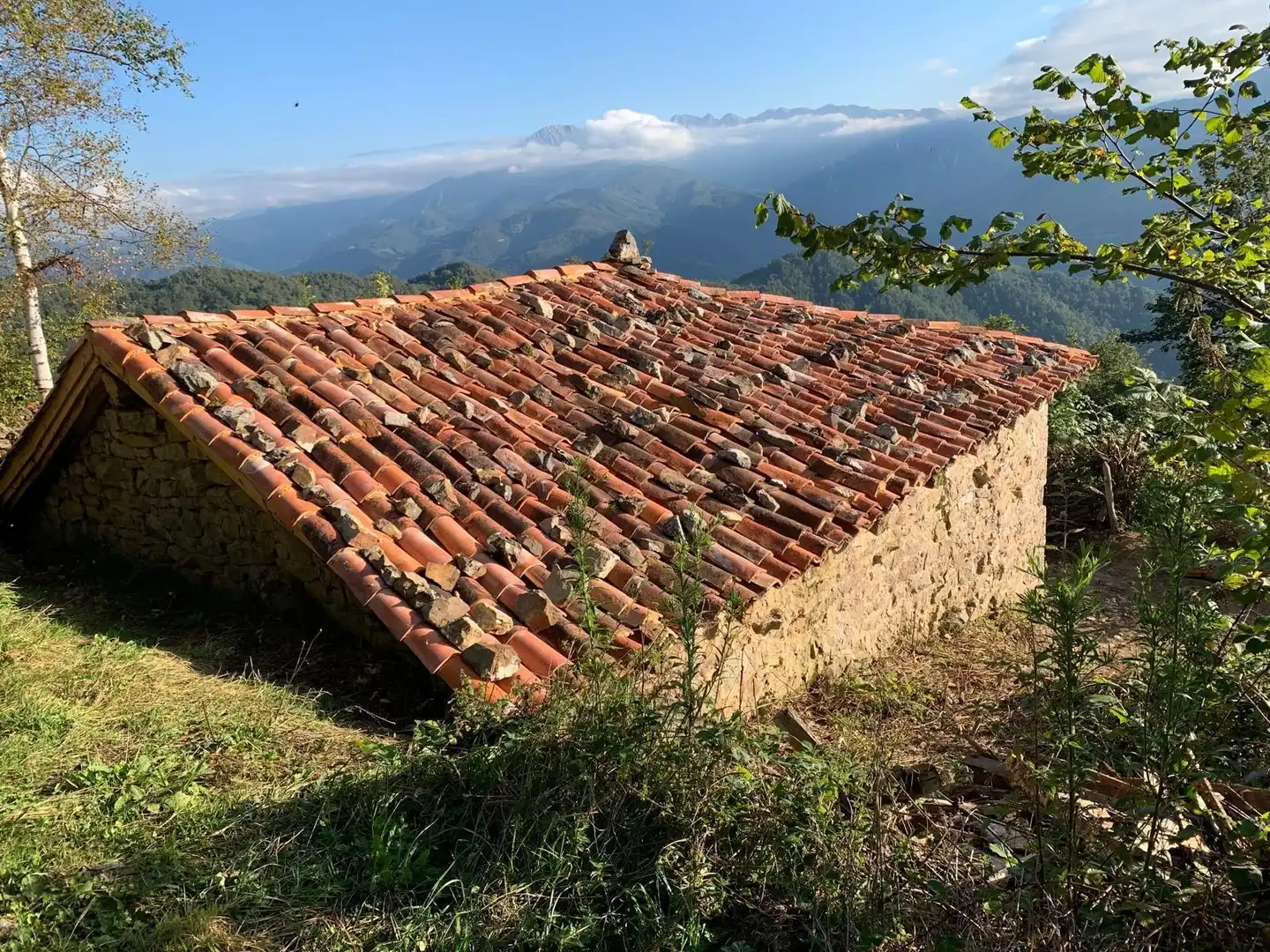 Casa con jardín en venta en Quirós, imagen 2