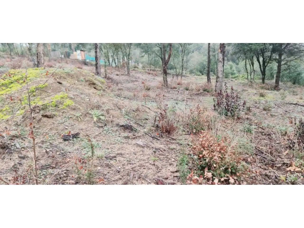 Rural land for sale in Lliçà d'Amunt, imagen 125
