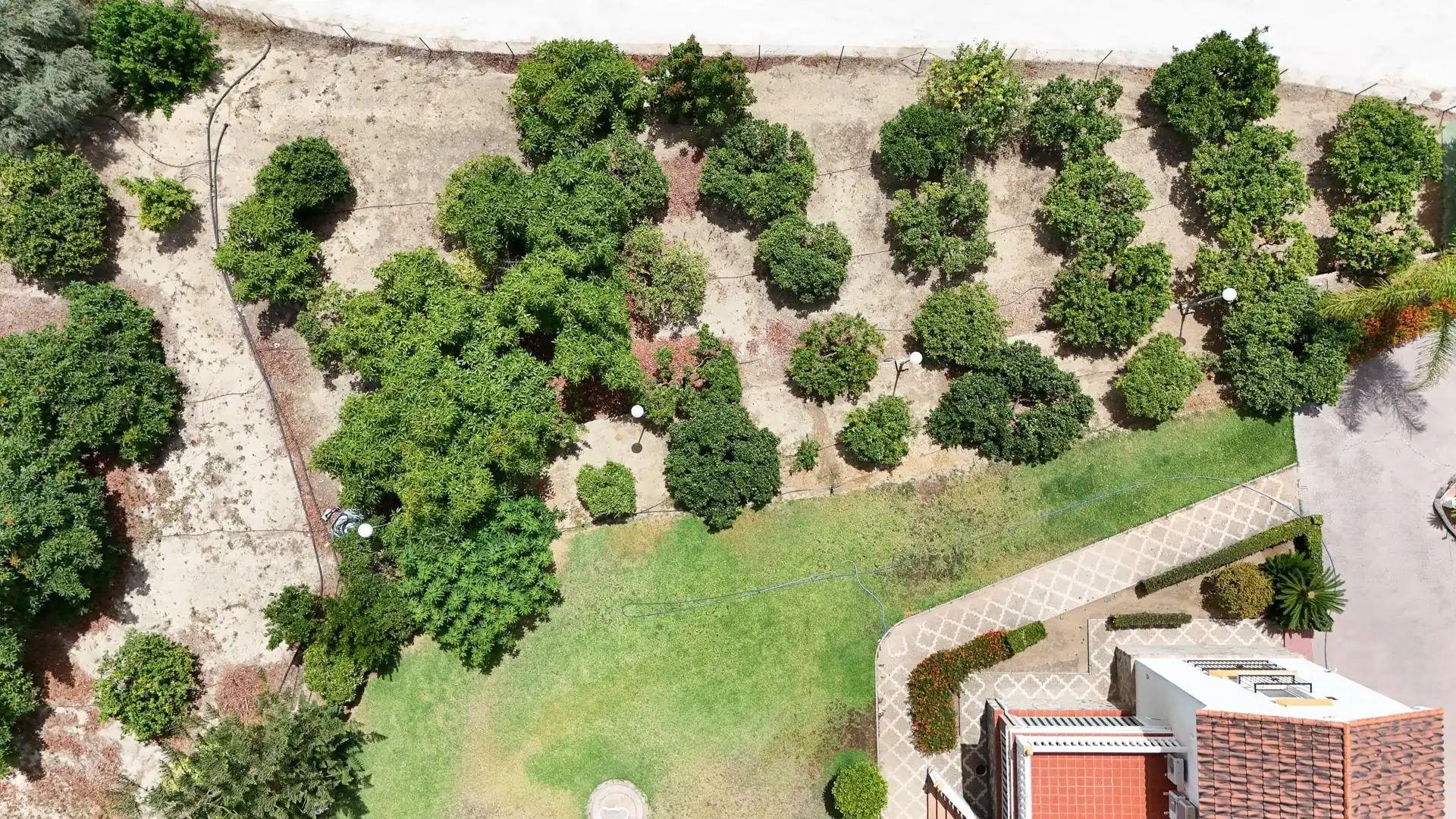 Casa rústica amb jardí en venda a El Romeral - Peñón de Zapata, imagen 51