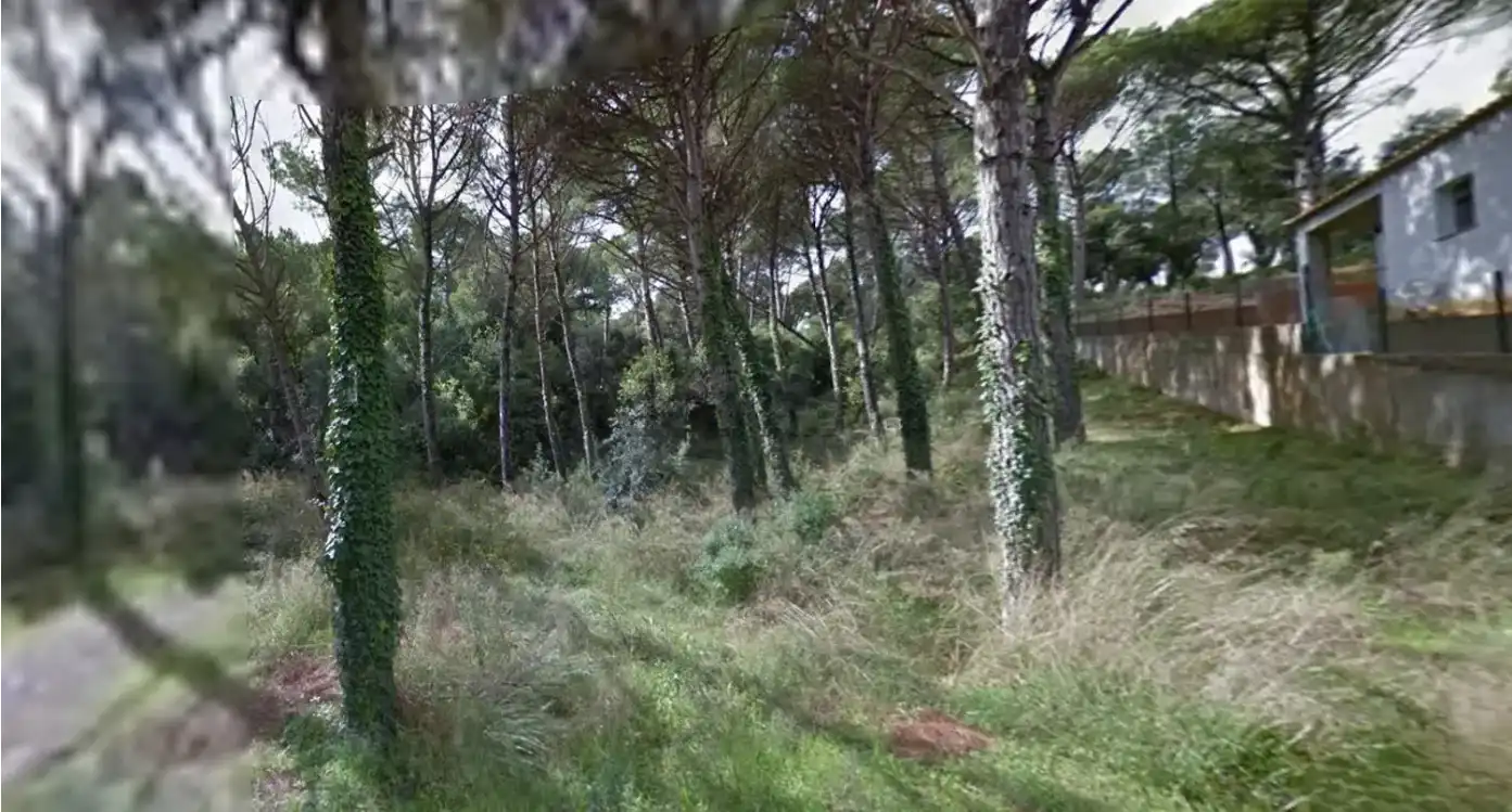Terrains et parcelles à vendre à Mas Pere - Río de Oro, imagen 14