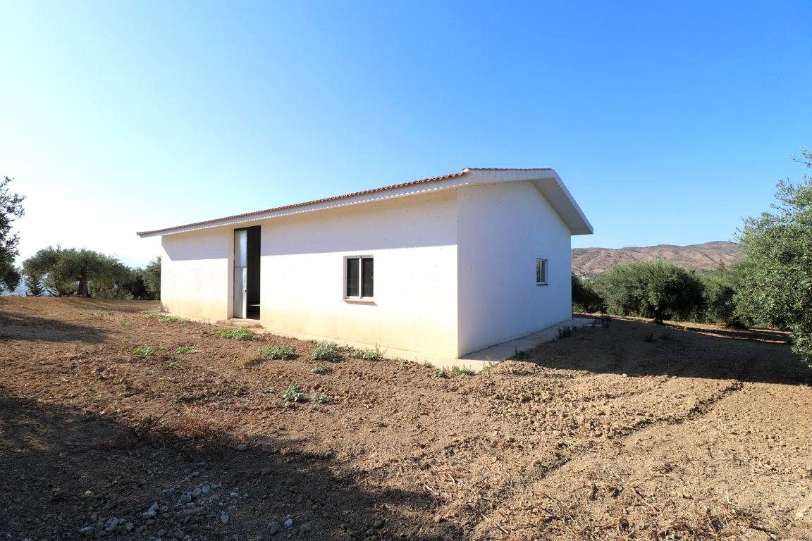 Vista exterior de Finca rústica en venta en Alhaurín El Grande