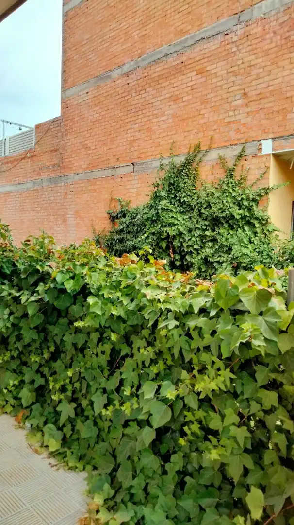 Terreni e lotti in vendita a Sant Pere de Riudebitlles, imagen 5