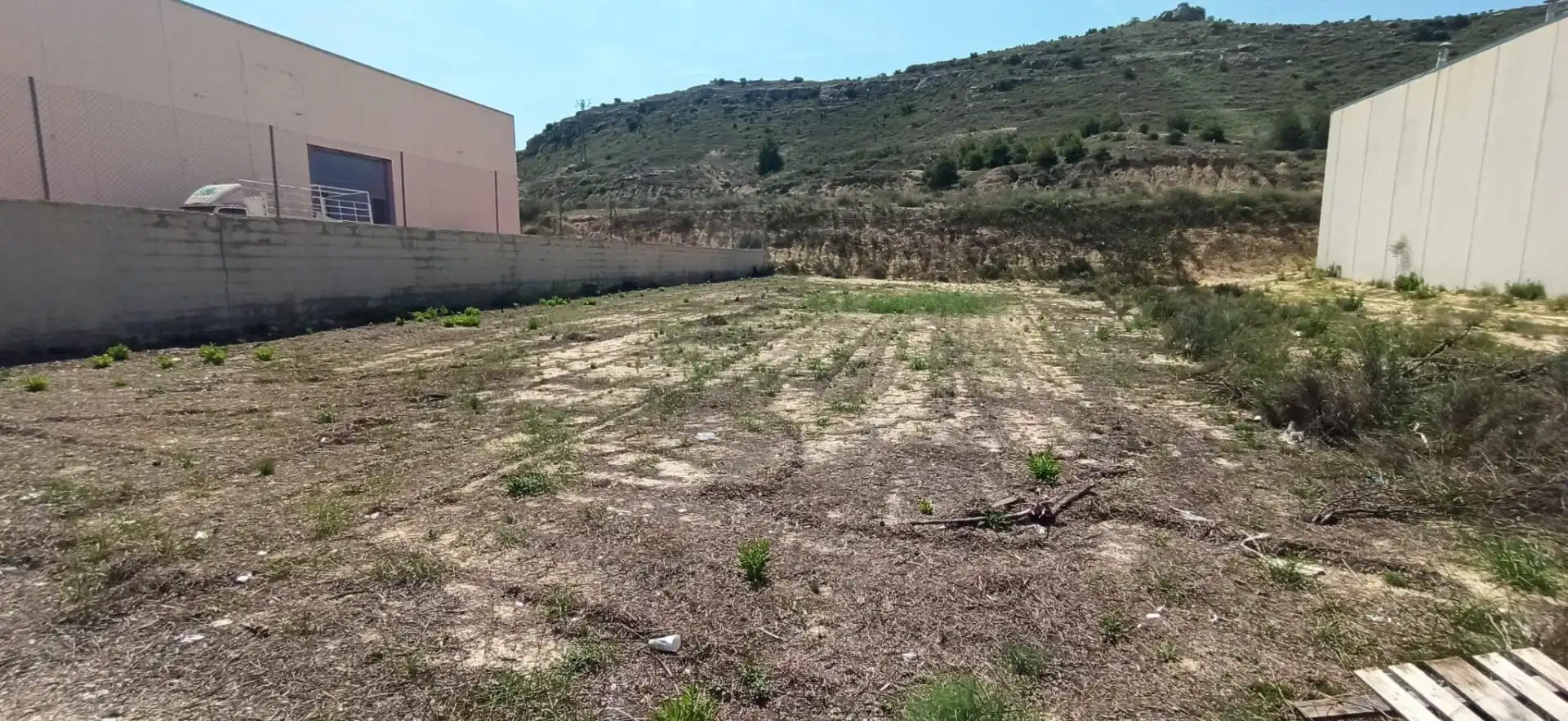 Terreno industriale in vendita a Pedanías Este