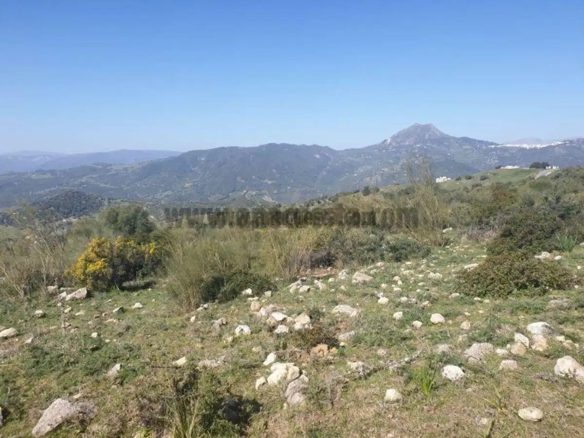 Residencial en venda a Casares, Málaga