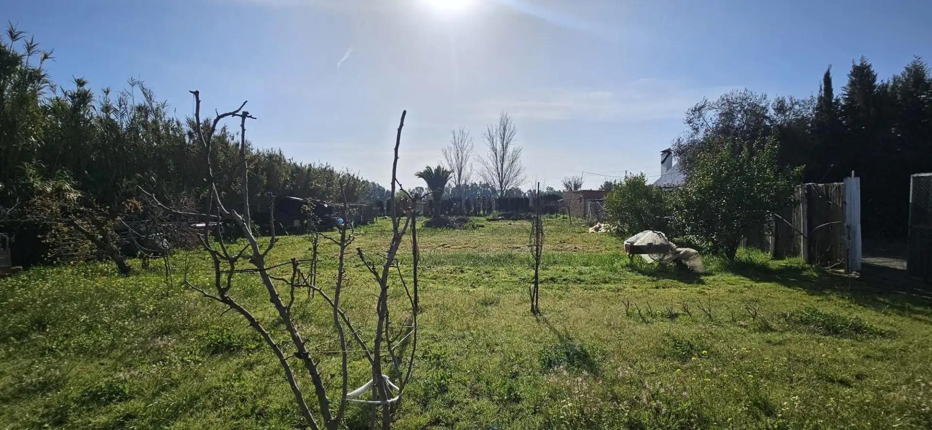 Country homes for sale in Gibraleón