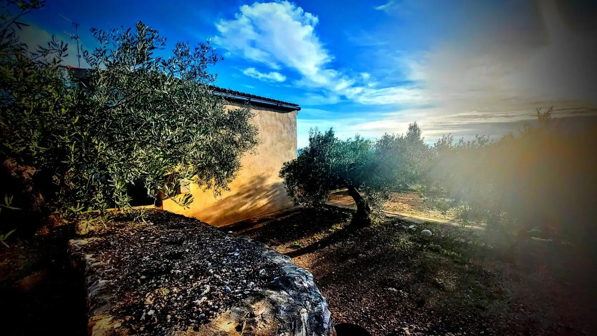 Vista exterior de Finca rústica en venda en L'Ametlla de Mar  amb Jardí privat, Terrassa i Moblat