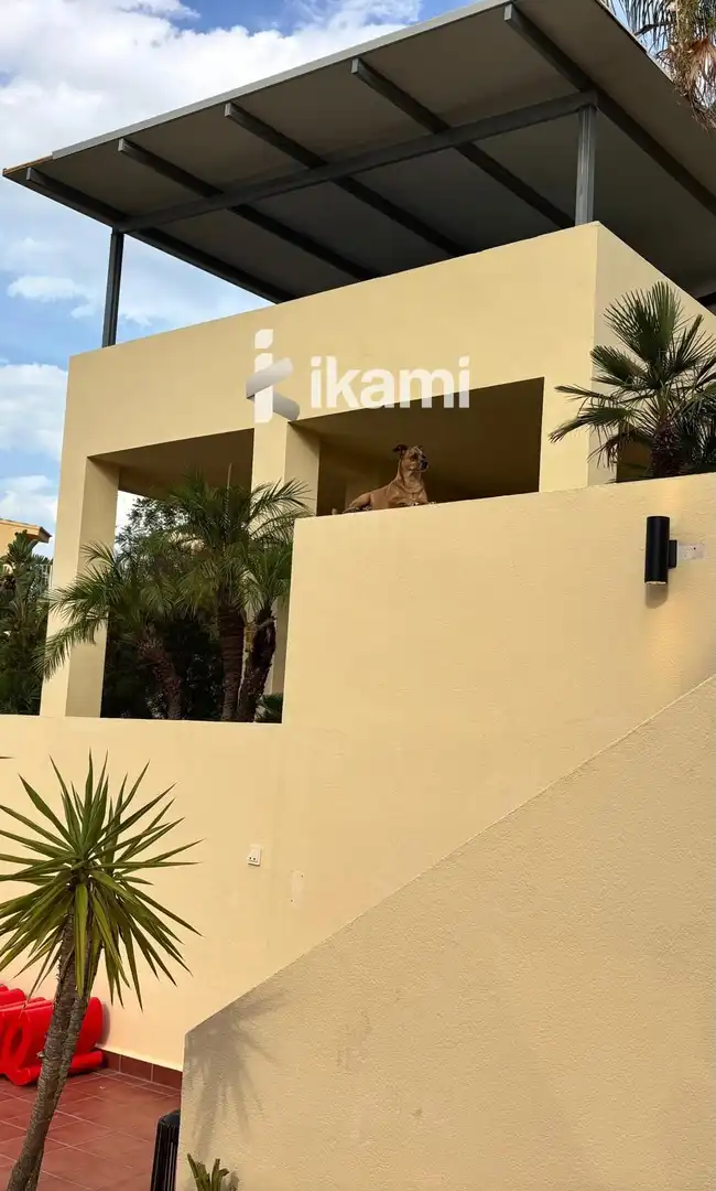 Detached homes for sale in Pedreguer, Alicante