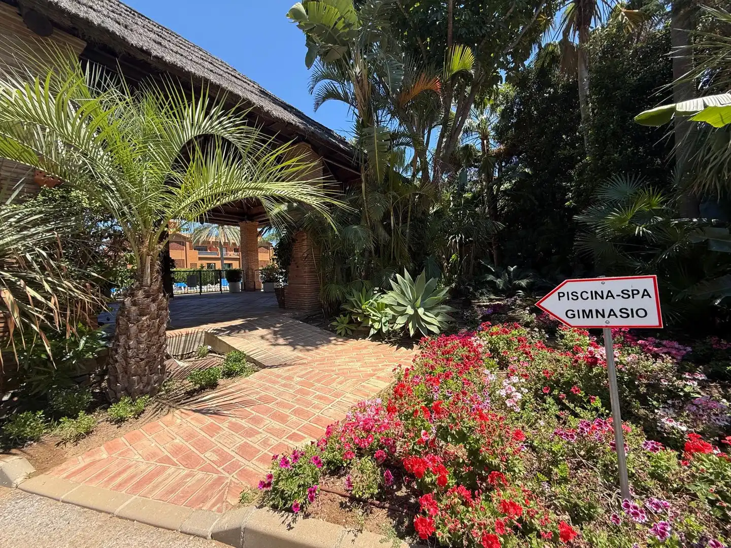 Ground floor for rent in Estepona  with Private garden, Terrace and Swimming Pool