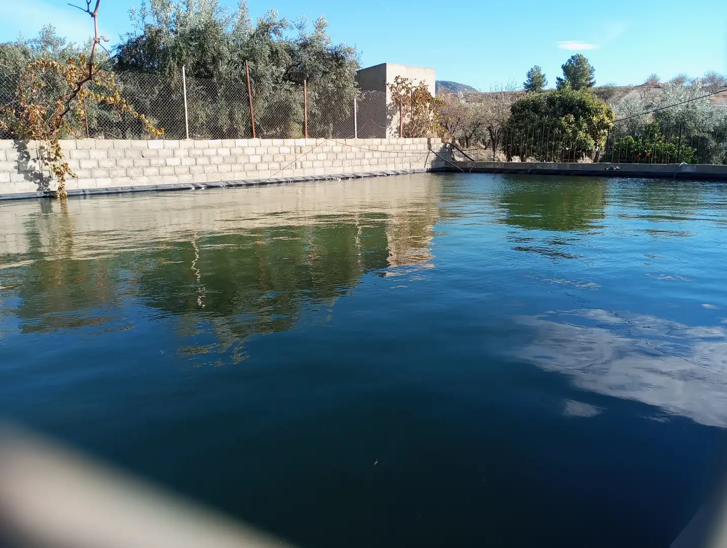 Piscina de Casa o chalet en venta en Purchena con Amueblado