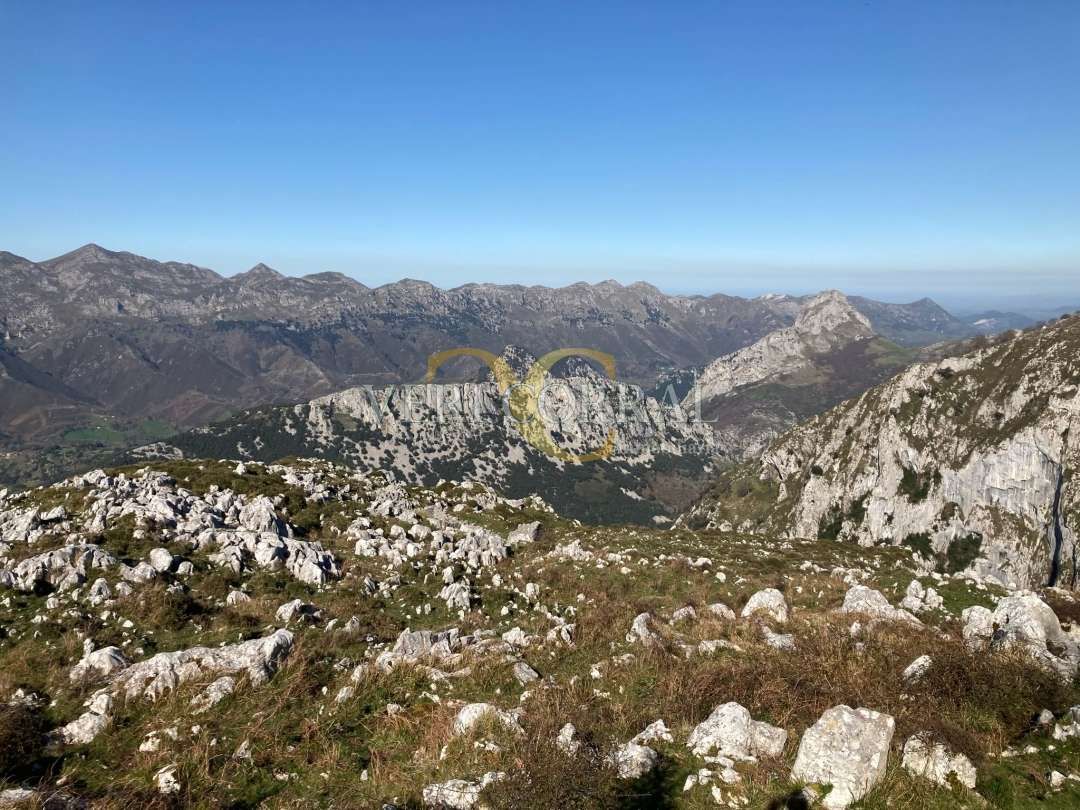 Exterior view of House or chalet for sale in Peñamellera Alta  with Heating and Furnished