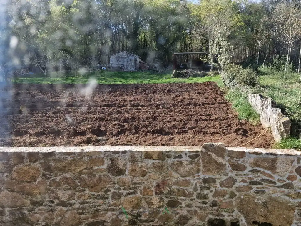 Jardín de Casa o chalet en venta en Antas de Ulla