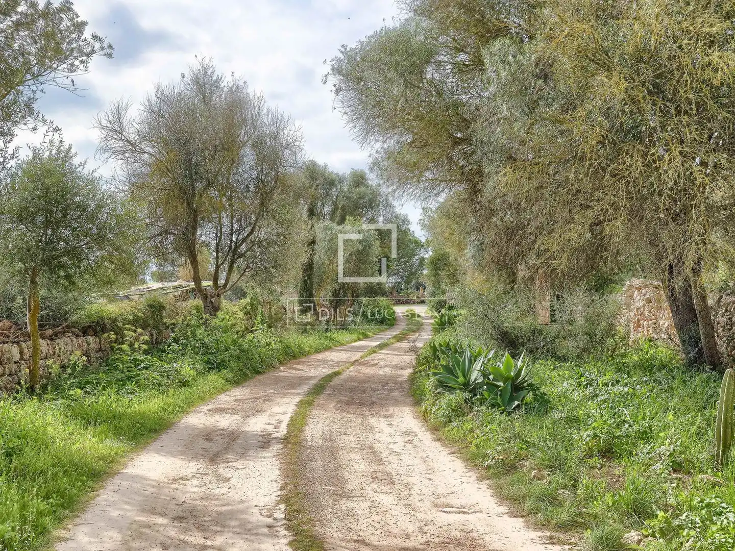 Casa rústica con jardín en venta en Llucmajor pueblo, imagen 3