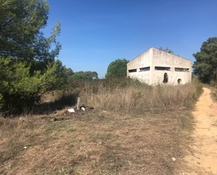 Land for sale in Tordera