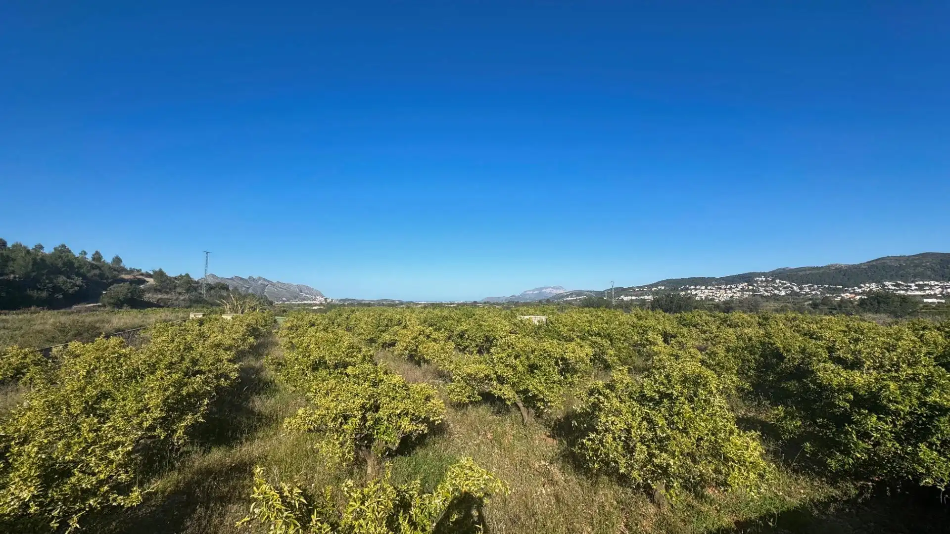 Terrenys i solars en venda a Orba