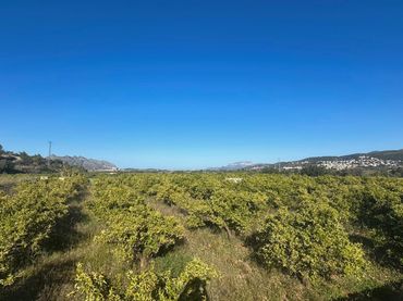 Terrenys i solars en venda a Orba