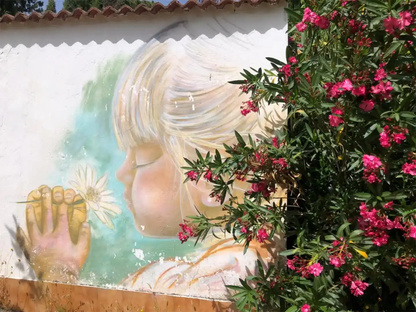 Jardín de Casa o chalet de alquiler en Córdoba con Aire acondicionado, Jardín privado y Trastero