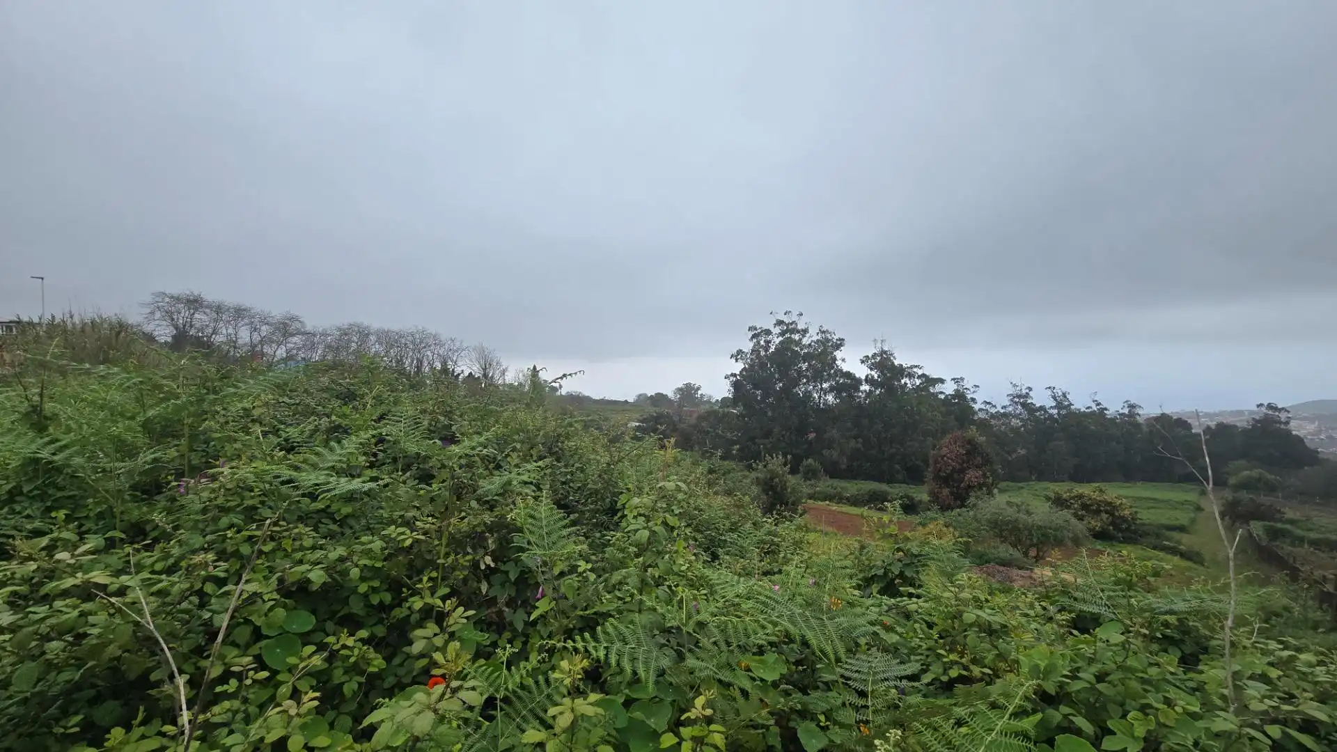 Terreny residencial en venda a Camino Real, imagen 14