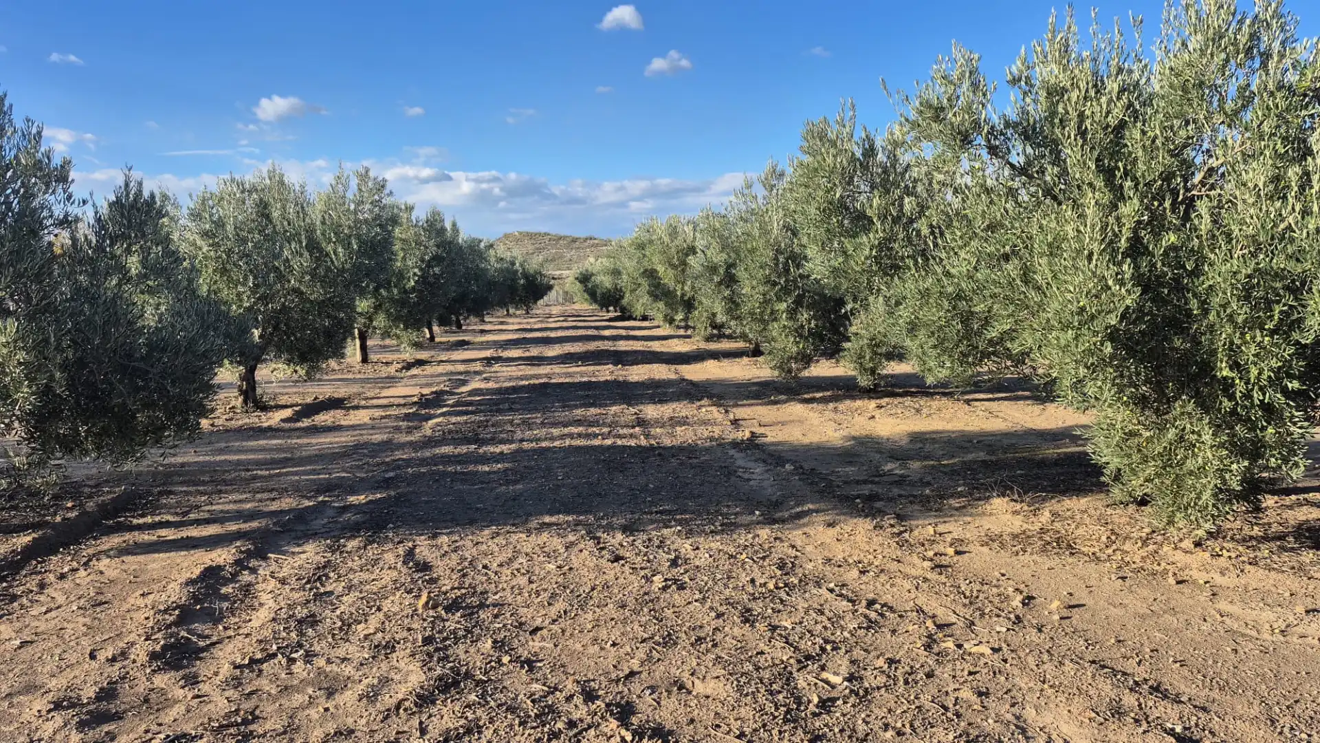 Terreny en venda en Alcóntar