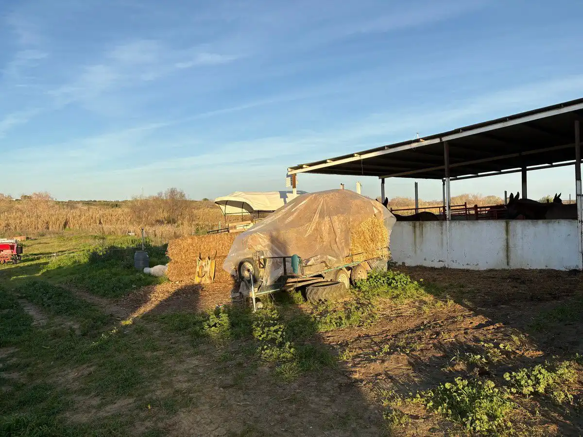 Casa rústica en venda a Bollullos Par del Condado, imagen 6