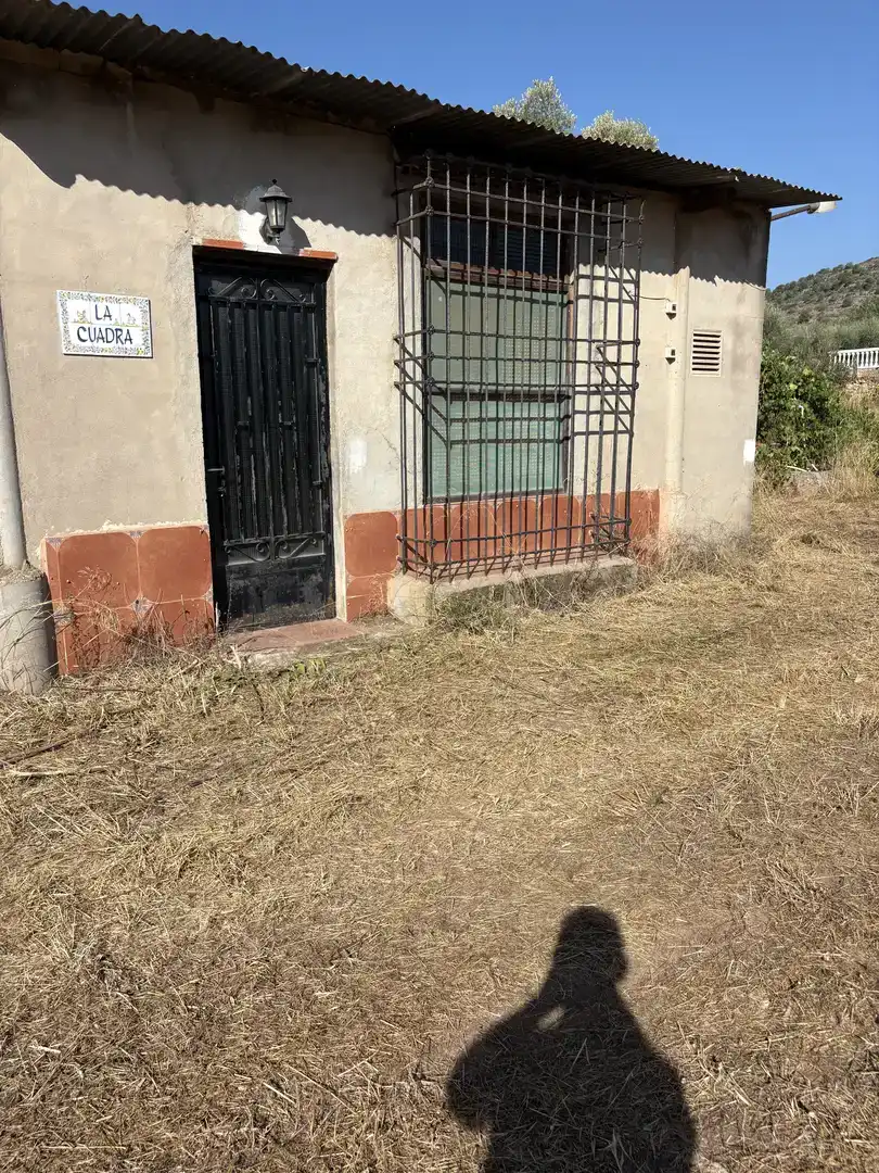 Finca rústica en venda en L'Alcora