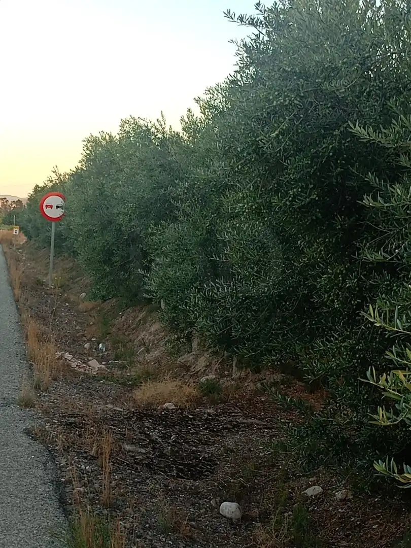Residencial en venda en Lorca
