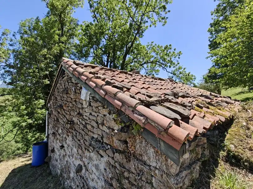 Terreno rustico in vendita a Proaza, imagen 24