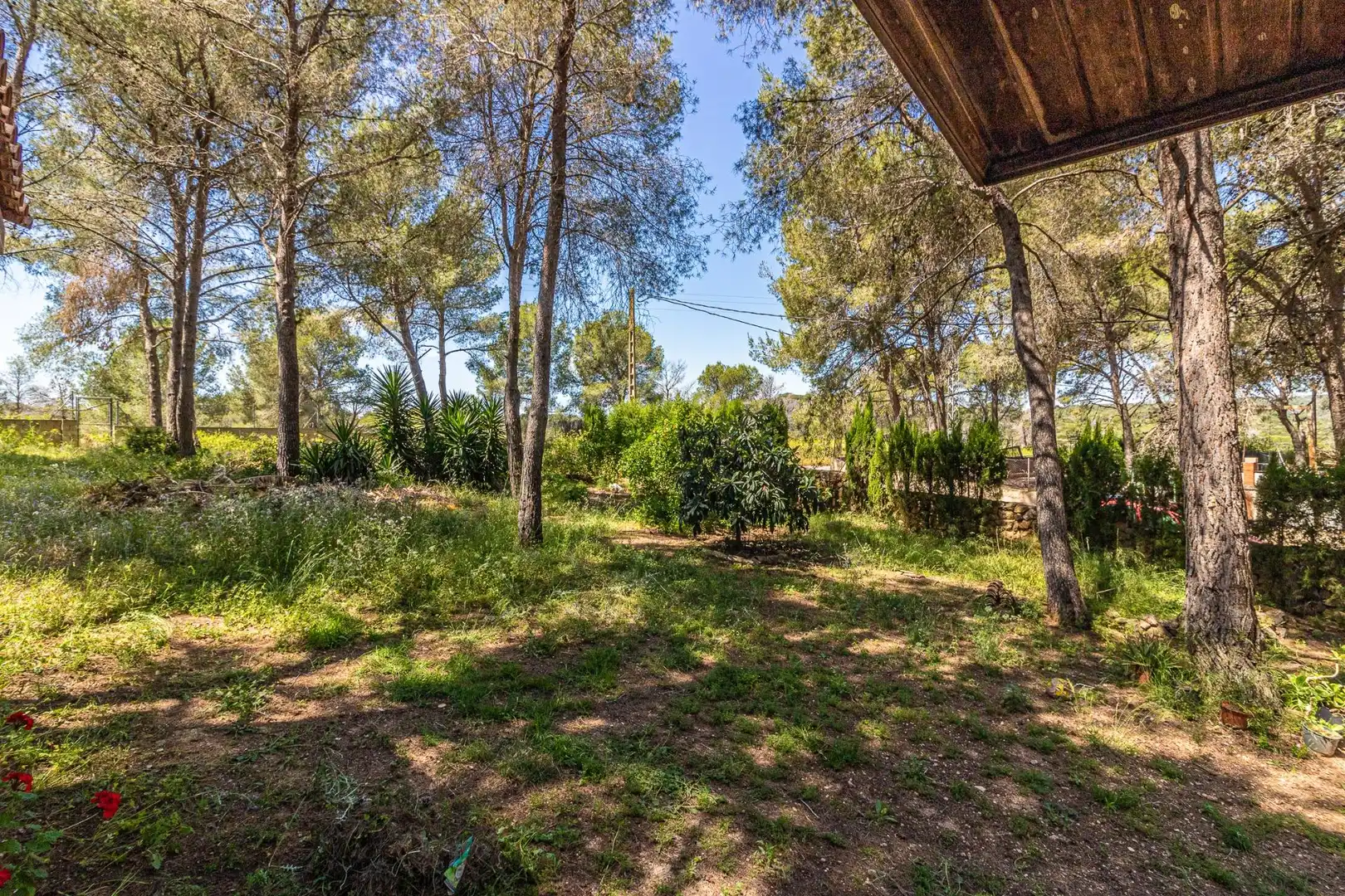 Jardín de Casa o chalet en venta en Alberic con Aire acondicionado, Jardín privado y Piscina