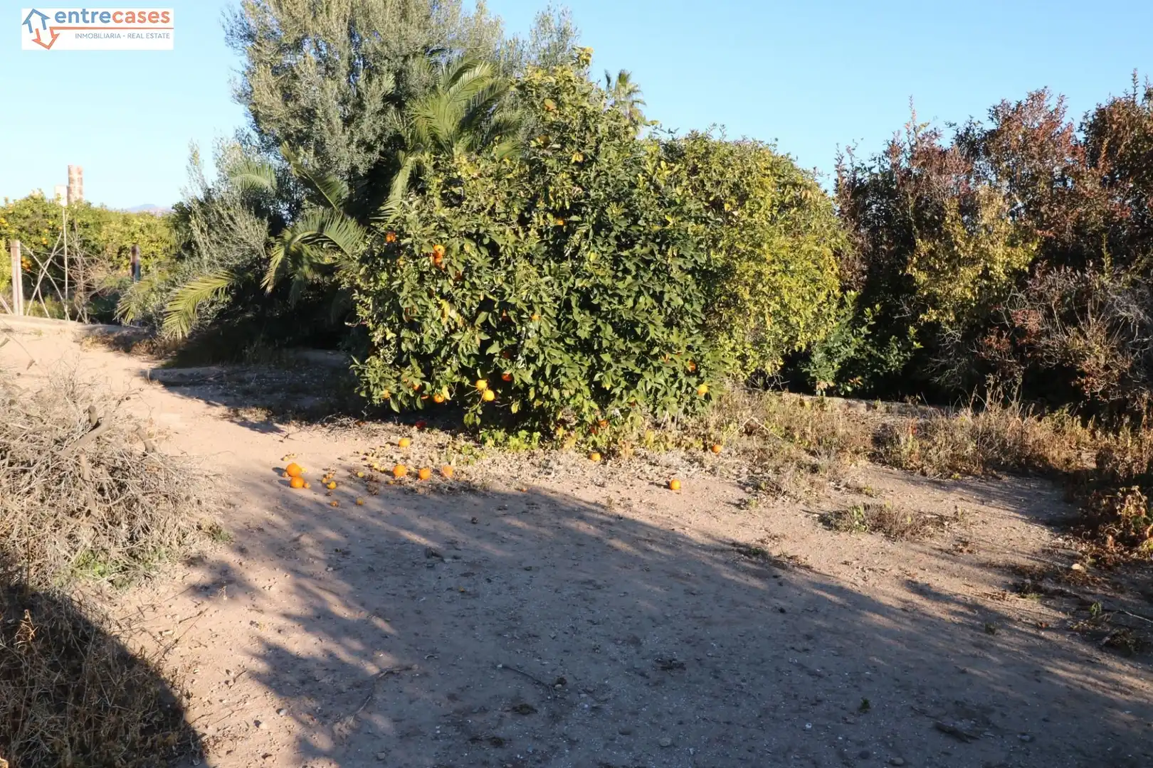 Rural land for sale in Canet d'En Berenguer, imagen 10