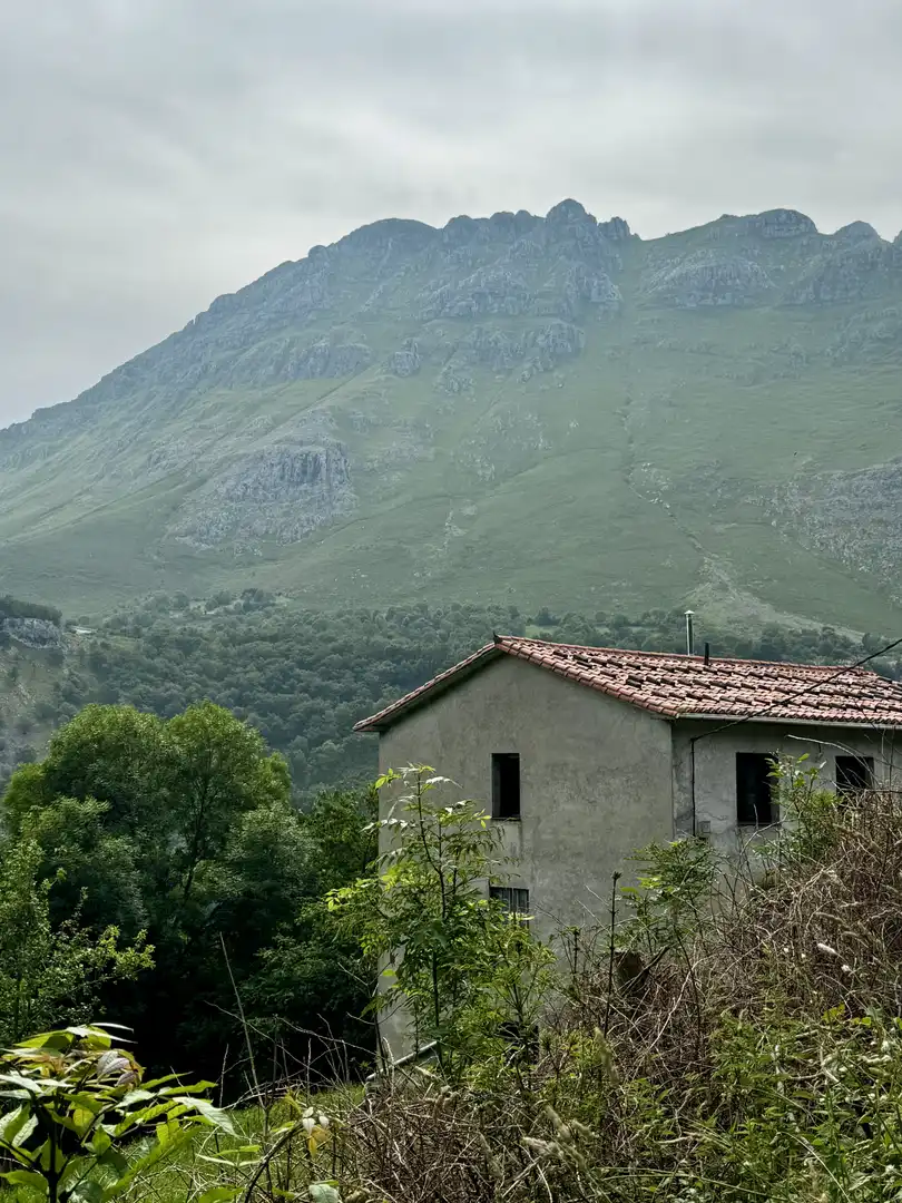 Exterior view of Houses for sale in Arredondo