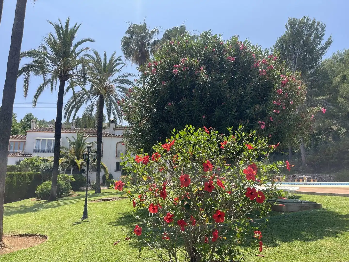 Jardí de Casa adosada en venda en Pedreguer amb Calefacció, Jardí privat i Terrassa