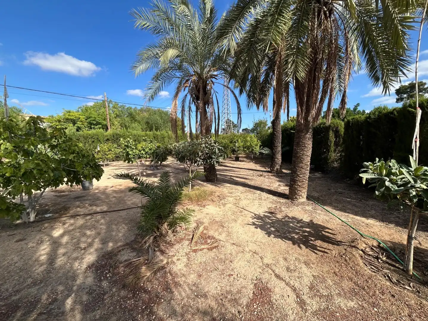 Villa avec piscine à vendre à La Algoda - Matola - Llano de San José, imagen 95