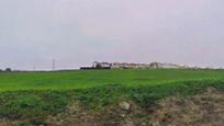 Residencial en venda en Trebujena